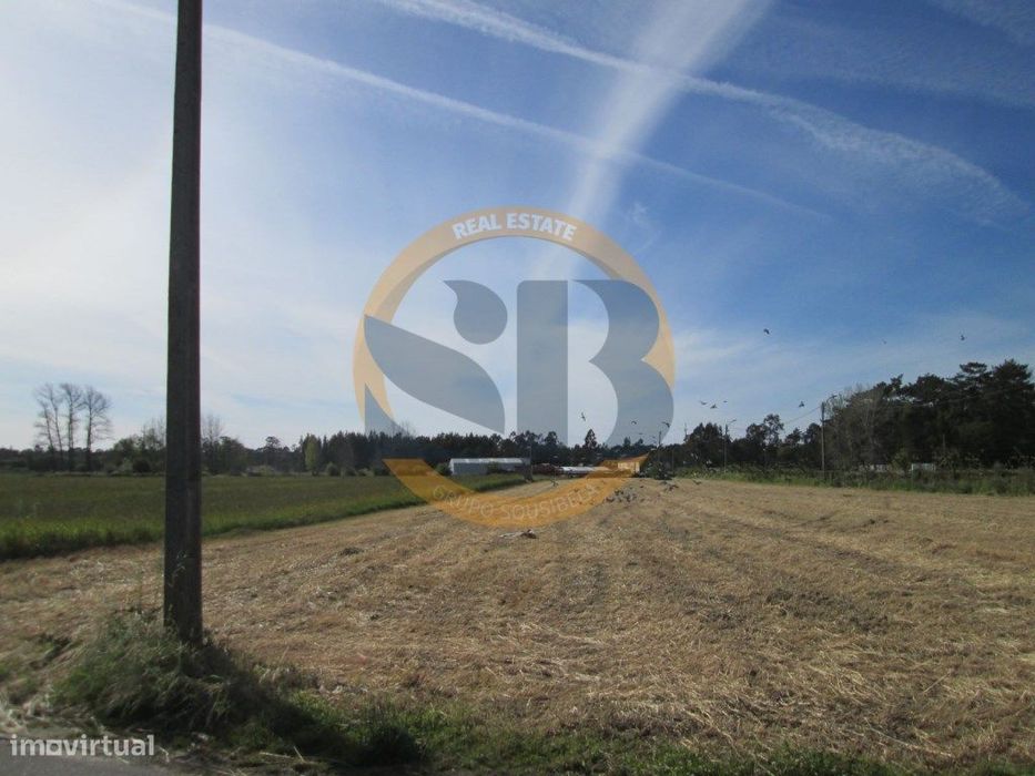 Terreno arredores centro Ovar