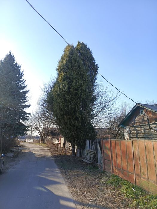 Будинок в с.Брусилів