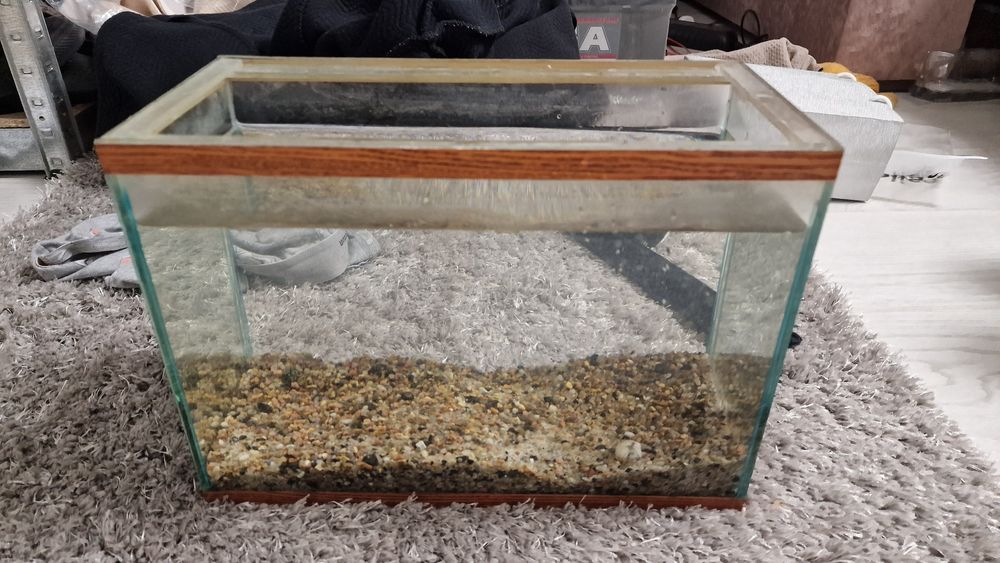 Маленький акваріум