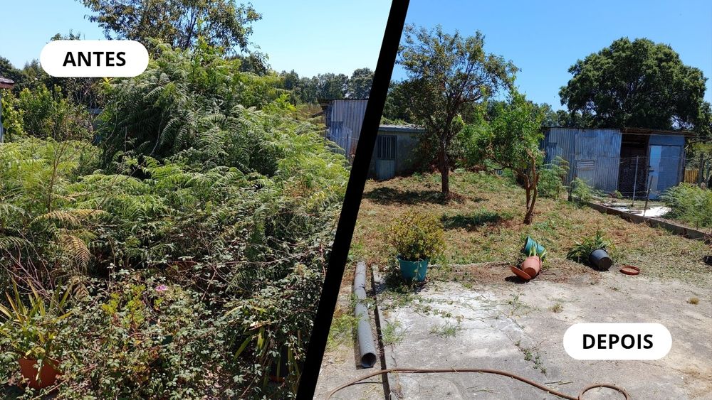 Serviços de Jardinagem e Limpeza de Terrenos