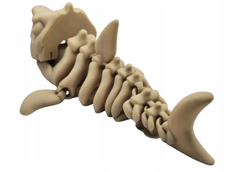 Wielki Rekin MEGALODON Szkielet Figurka 3D Ruchoma 20cm Dinozaur