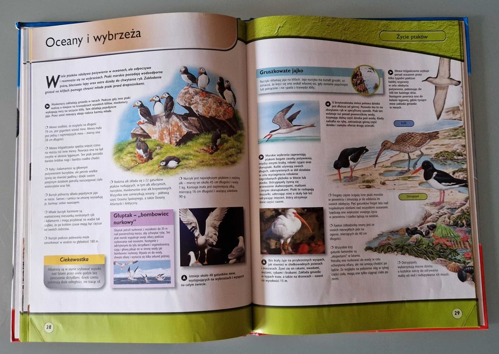 Życie na ziemi. Życie ptaków (wyd. SBM, red. Elżbieta Wójcik)