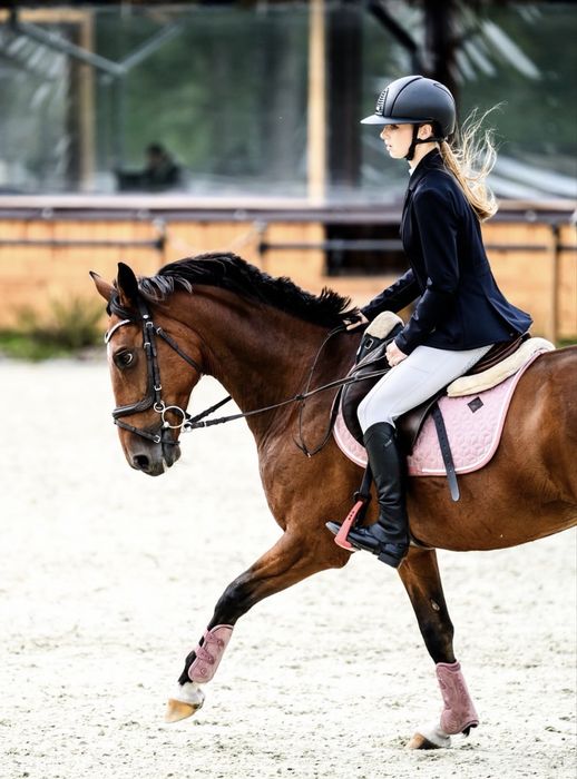 12-letnia klacz