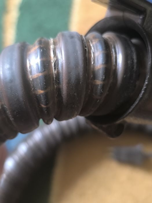 Rainbow SE - elektrowąż turboszczotki