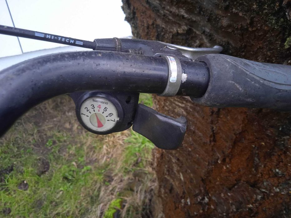 Rower męski Budereit 28cali Shimano Nexus7