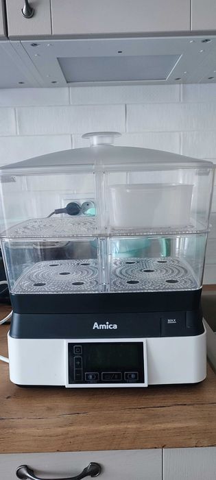 Parowar Amica PT4011