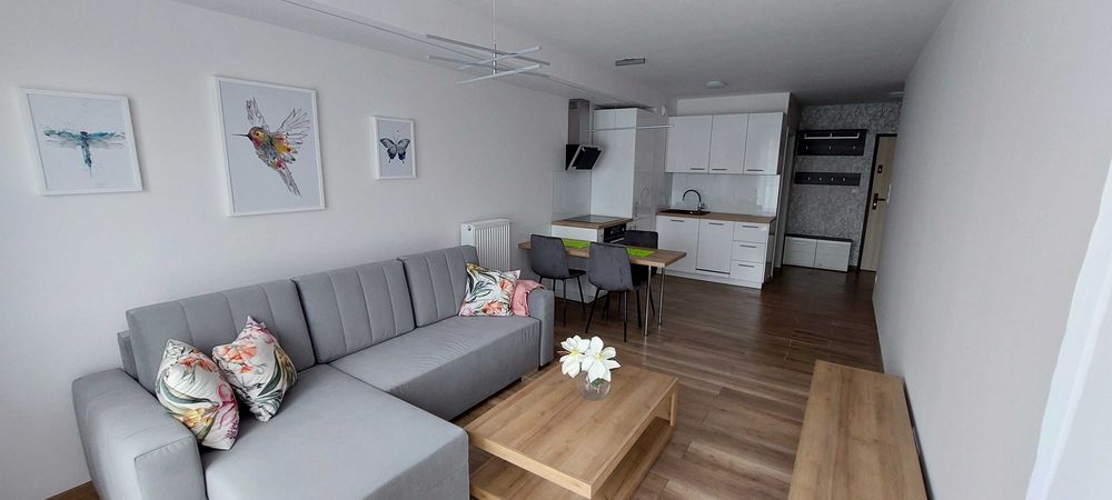 mieszkanie 2 pokojowe Gliwice ul. Karolinki do wynajęcia