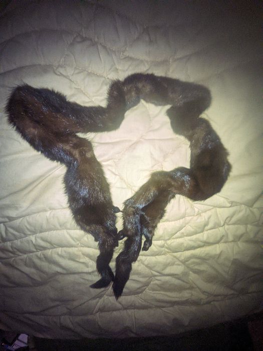 Воротник, либо пояс, с застежкой