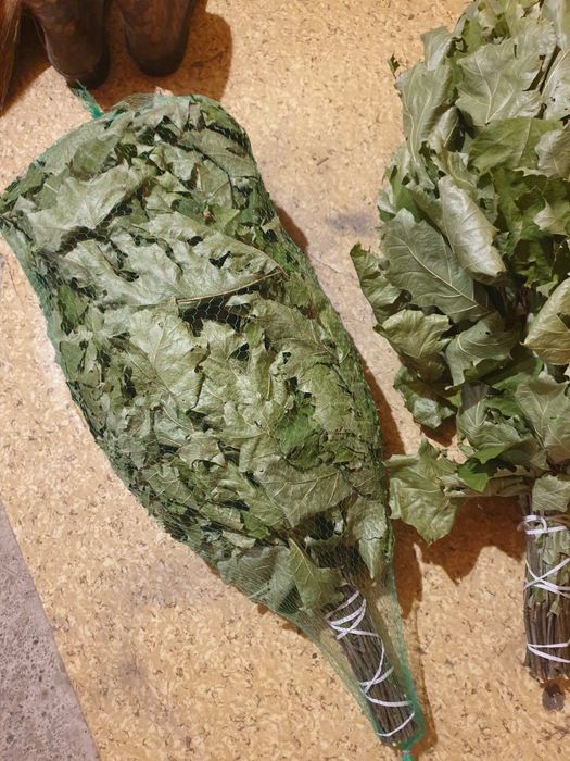 Веник банный, канадский дуб веник дубовый