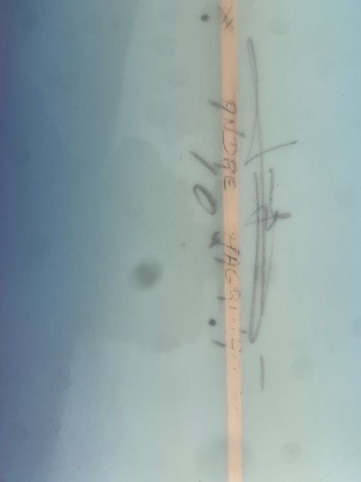 Longboard Lufi Classic + Fin