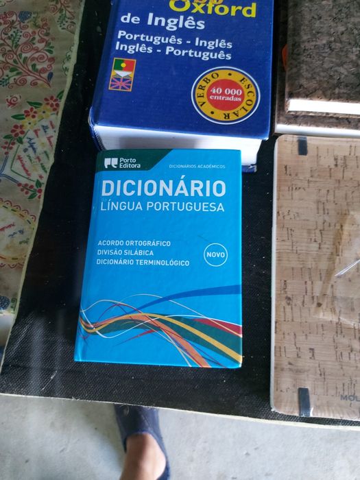 2 dicionários e 3 blocos de apontamentos