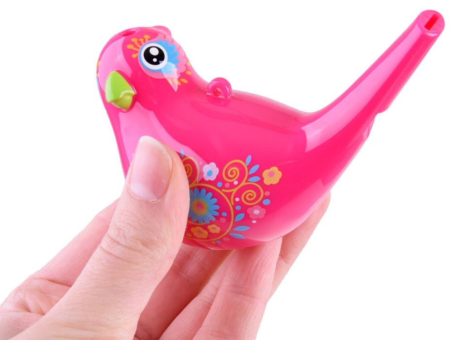 ptaszek gwizdek wodny ptak water bird birds za1483