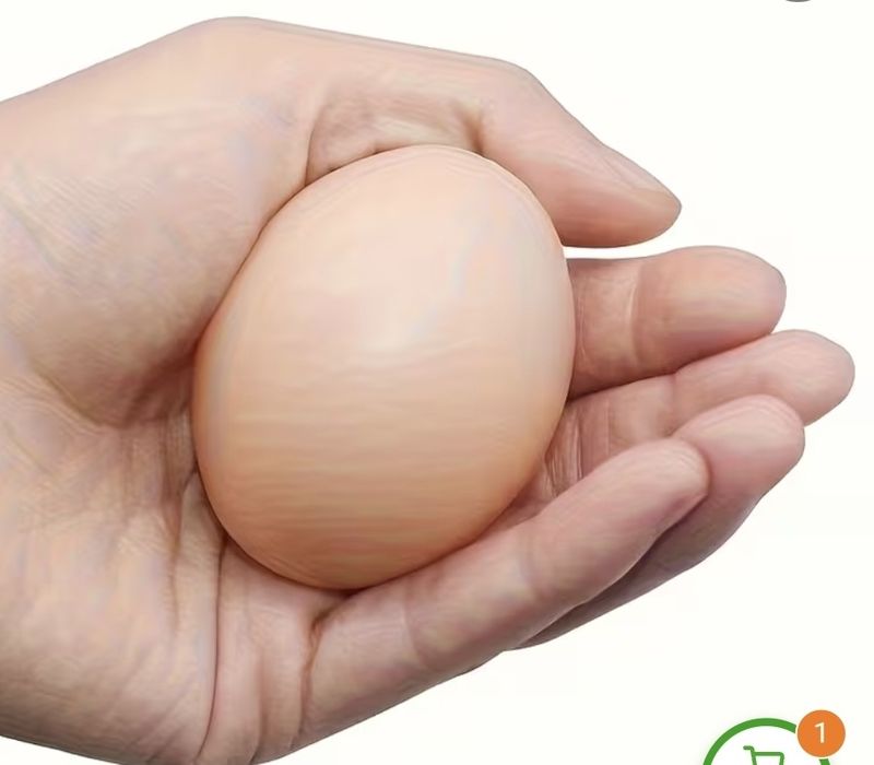 10 ovos falsos de plástico para galinhas