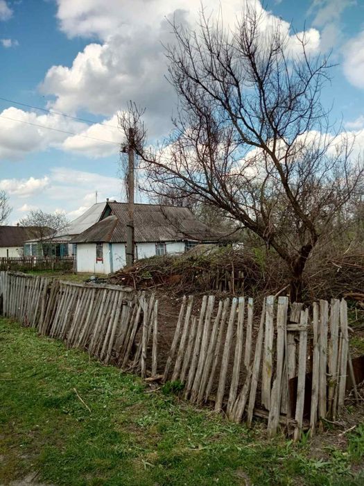 Томашівка Фастівського району Київської області
