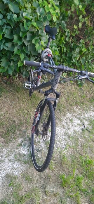 Rower Kross Evado 4.0