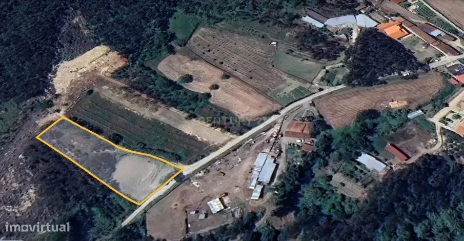 Rustic Land in Coimbra – Unique Opportunity for €12,990