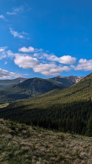 Гід, Екскурсовод, Походи в гори, Екскурсії, Провідник по Карпатах
