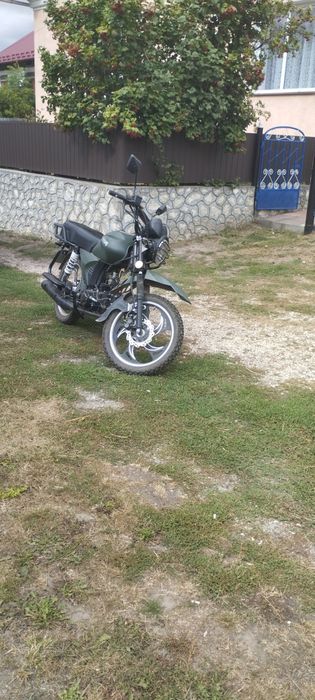 Mustang Dingo 125