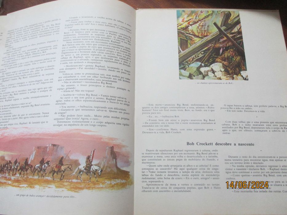 Livro - O filho de David Crockett