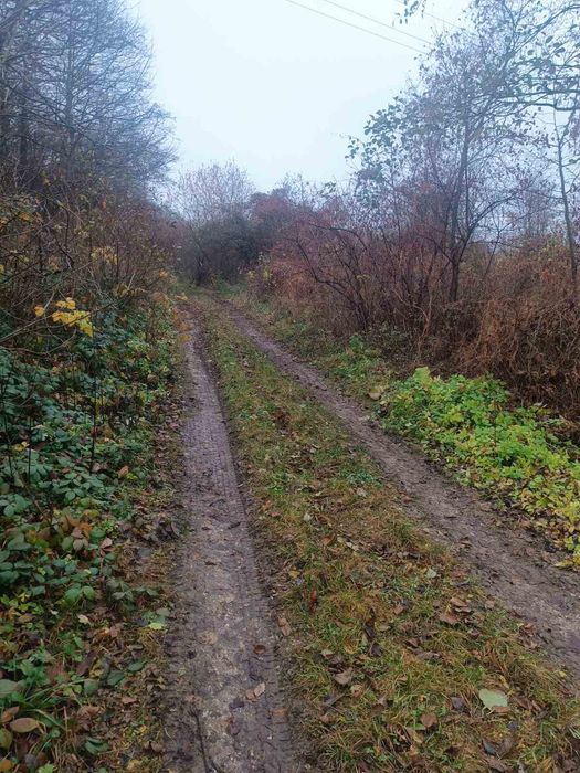 Ділянка під садівництво