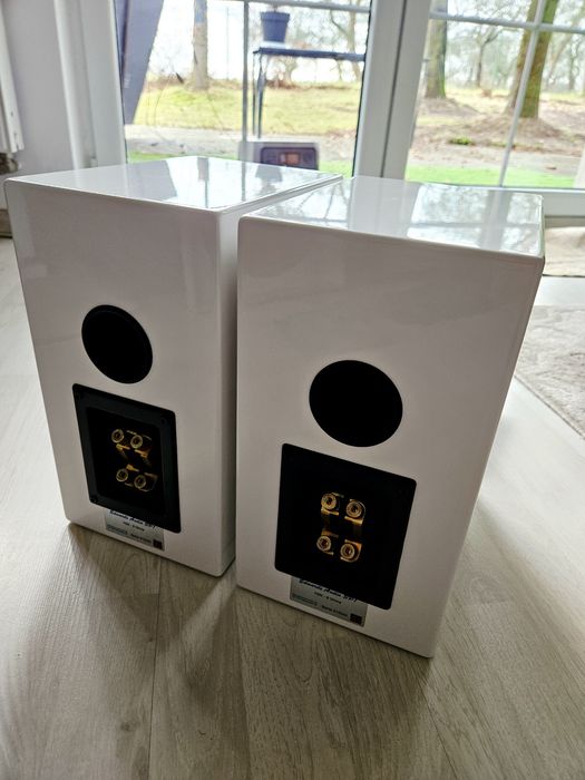 Kolumny Edwards Audio SP1 - bookshelf 75W