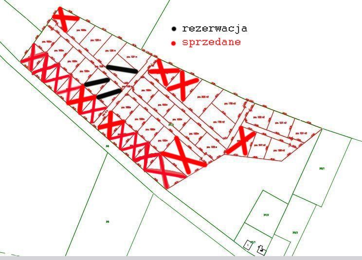 Zdjęcie 4