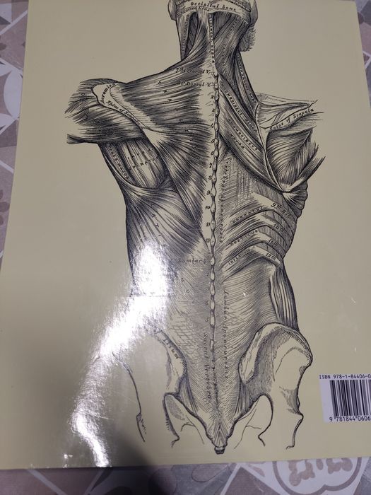 Livro Gray's Anatomy