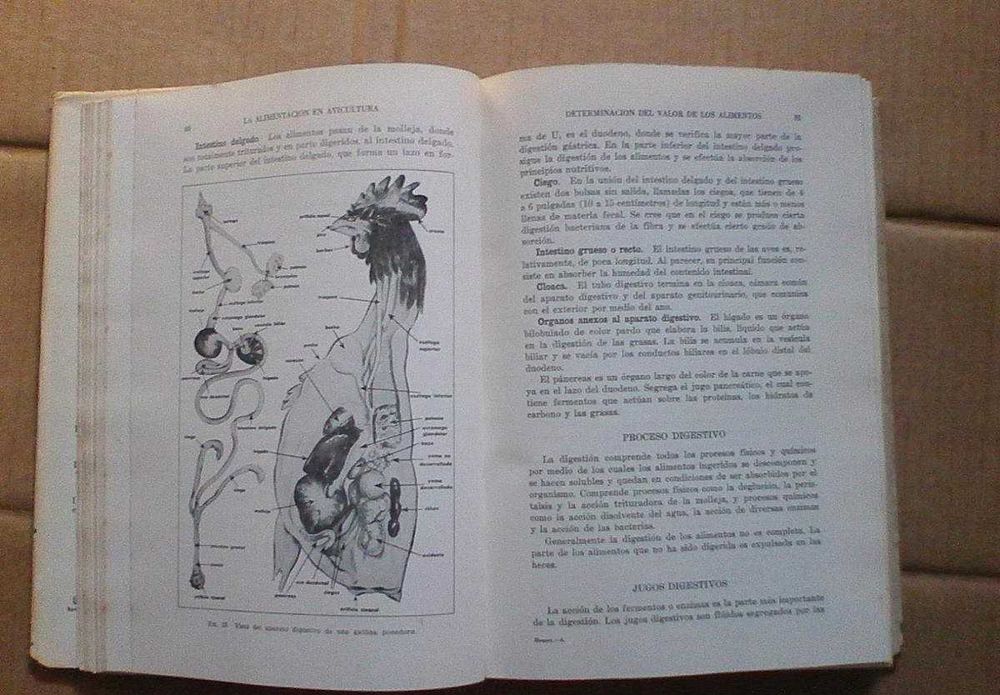 La alimentacion en avicultura