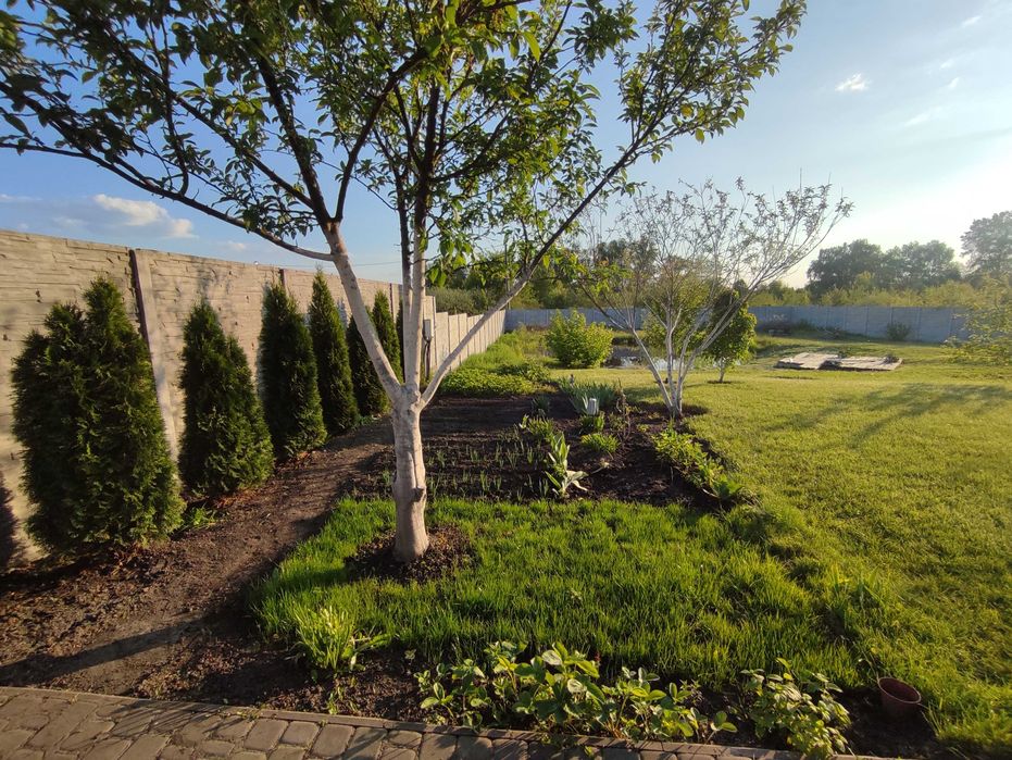 250 кв.м. за $195к. Еко-будинок неподалік р. Десна