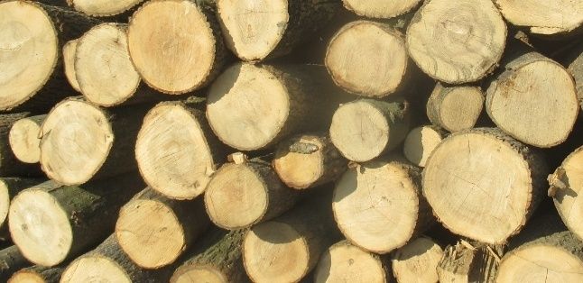 Drewno kominkowe opałowe GRUBE Olcha Dąb brzoza sosna