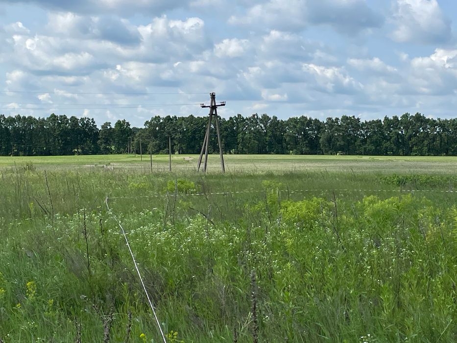 Дуже вигідна ділянка у Ворзелі! Затишок 20хв від Києва
