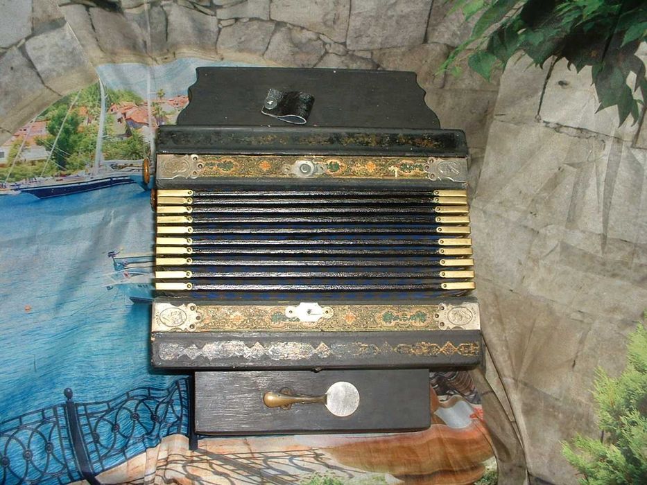 Concertina para venda N, 915