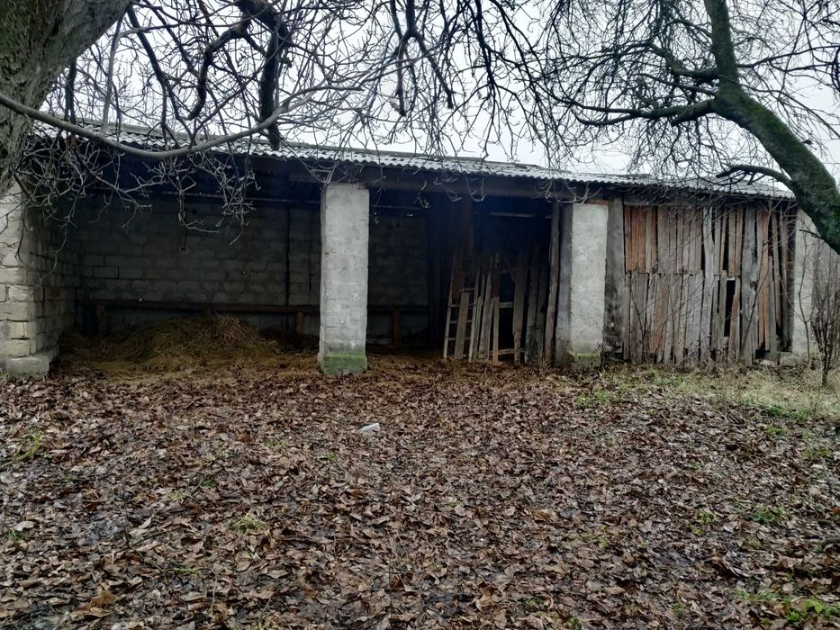 Нежитлові будівлі - с. Білоусівка, Чернівецька обл.