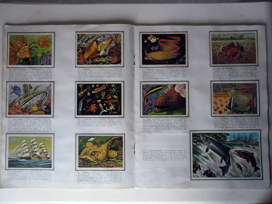 Caderneta Cromos História Automóvel Bela Adormecida Panorama Zoológico