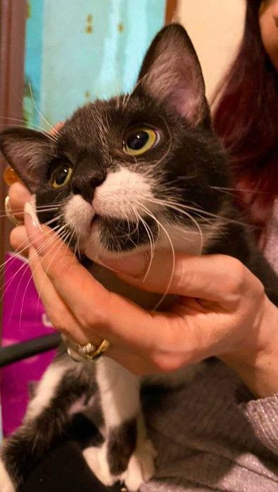 Отдаём в хорошие руки!