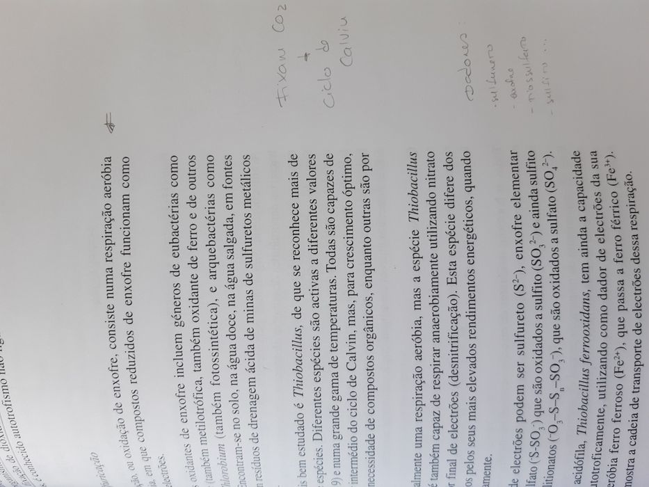 Livro Biologia microbiana
