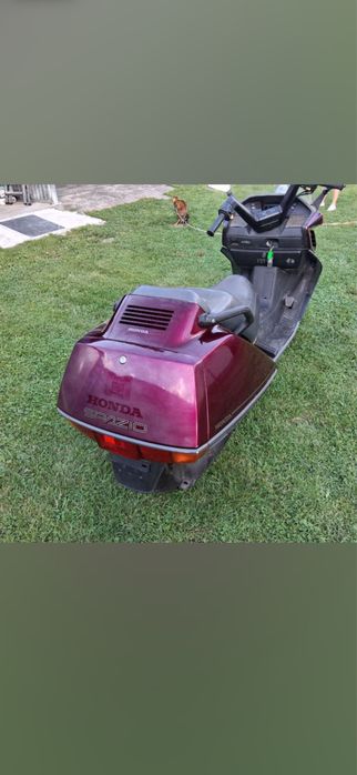 Honda Helix 250 klask