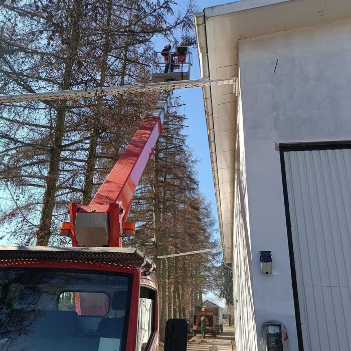 Wycinka drzew i frezowanie pni Płochocin, Błonie, Ożarów Mazowiecki