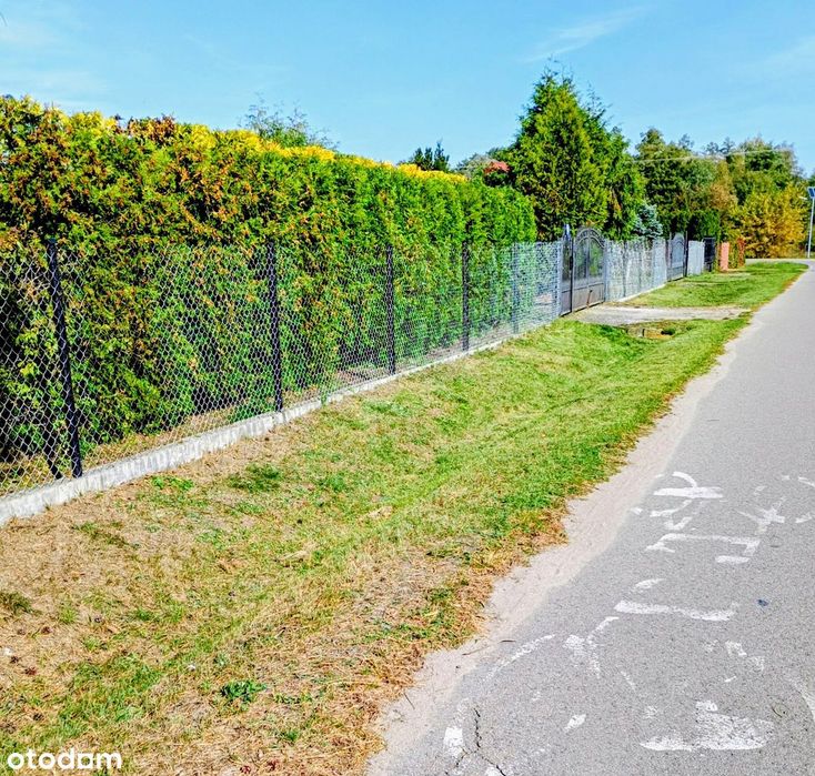 Sprzedam Działkę - 13 441 m² – Nowe Koziminy, gmina Płońsk