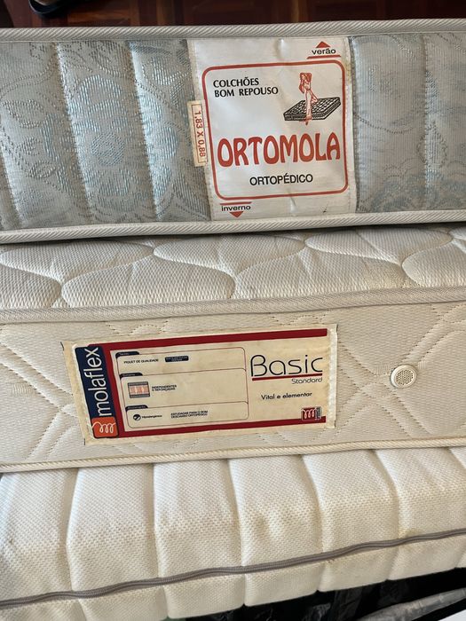 Colchão individual Molaflex Basic Standard 190x90cm