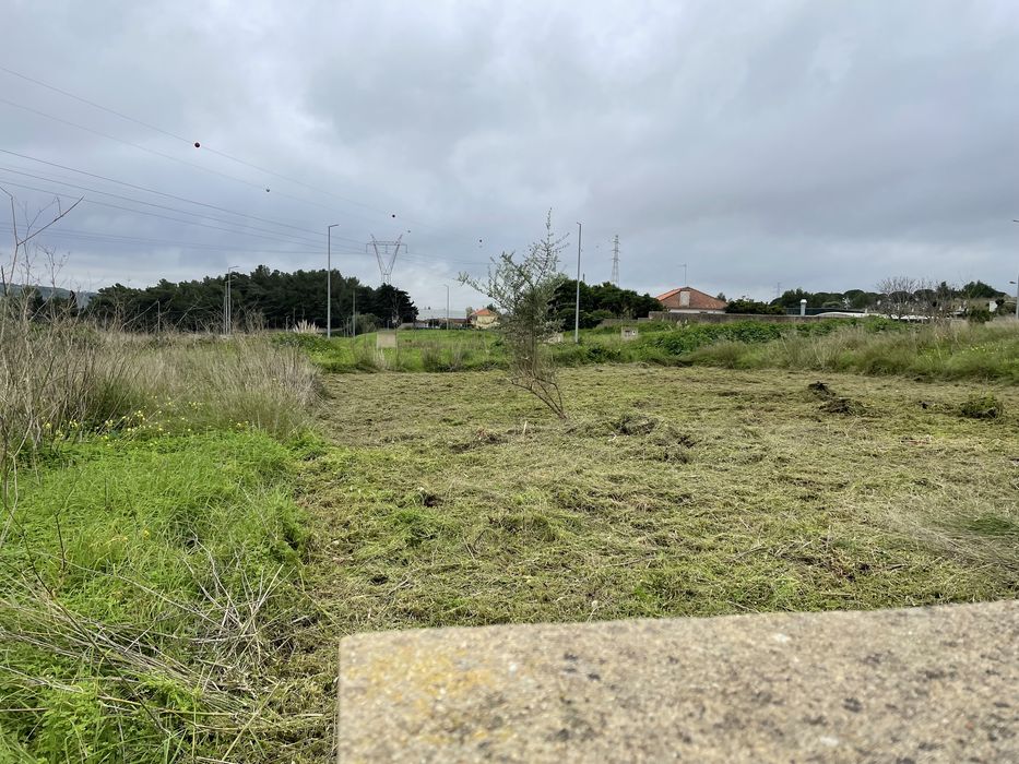 Limpeza de terrenos e corte de arvores e entre outras