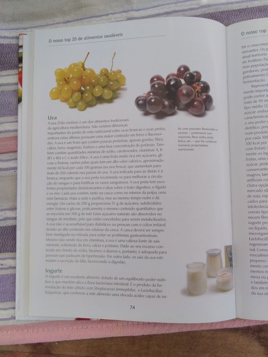 Saúde e Cozinha - Um Livro para quem gosta de comer saudavelmente