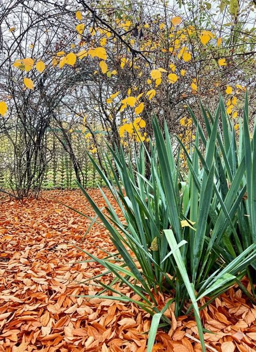 Продам вінтажний будиночок 77кв.м+17 соток з виходом до озера.