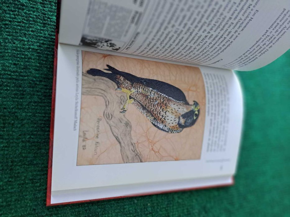 Aves Brasileiras Minha Paixão - A Vida e a Obra de Johan Dalgas Frisch