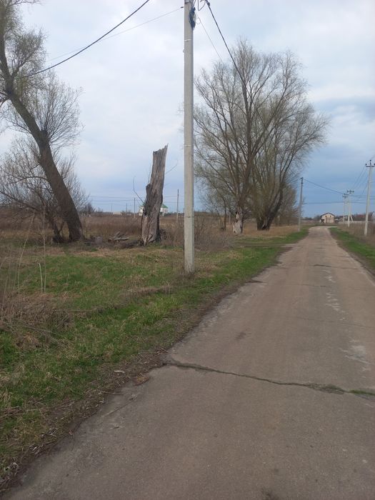 Продам земельну ділянку в Затишному
