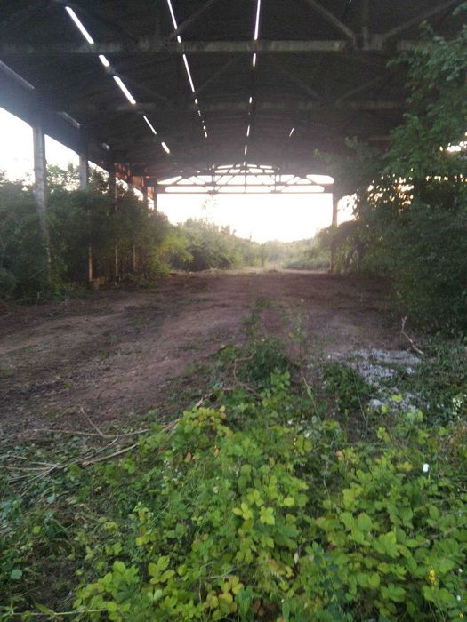 Продаж земельної ділянки Закарпатська обл. с. Чепа - 3,36 га