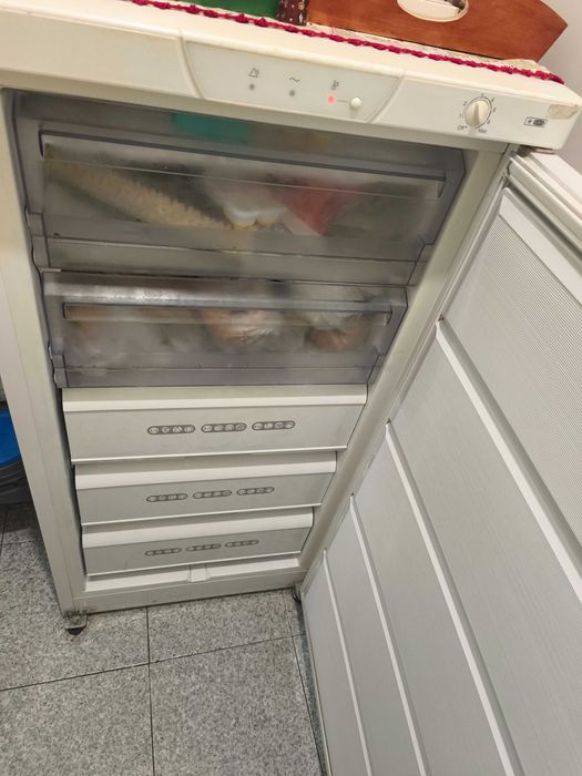 Arca congeladora vertical