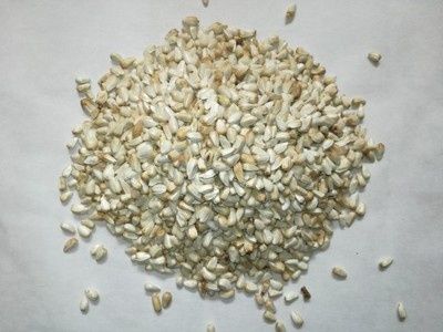 Krokosz barwierski ( Kardi ) Wysyłka