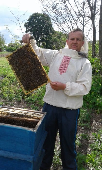 Продам бджолині сімї  бджоли(БДЖОЛОПАКЕТИ)2026