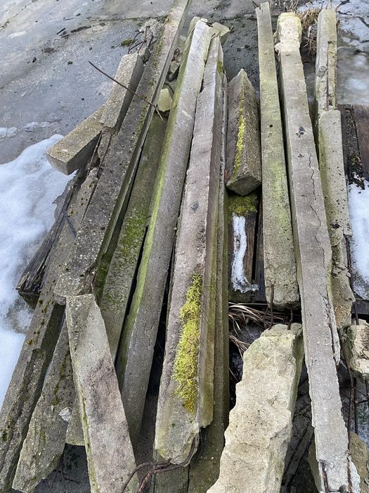 Słupki betonowe szpaler do sadu (oddam)